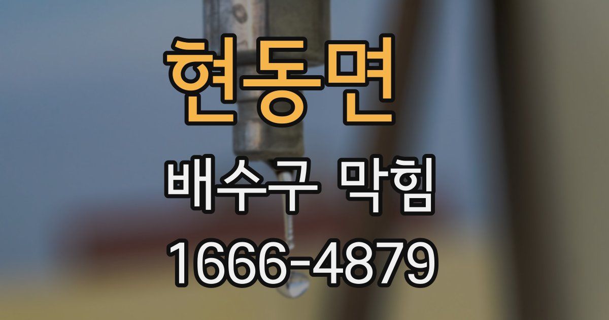 현동면 배수구 막힘