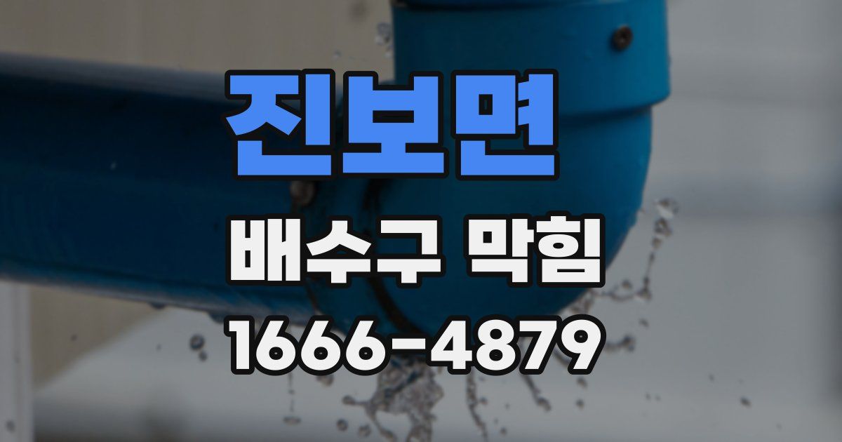 진보면 배수구 막힘