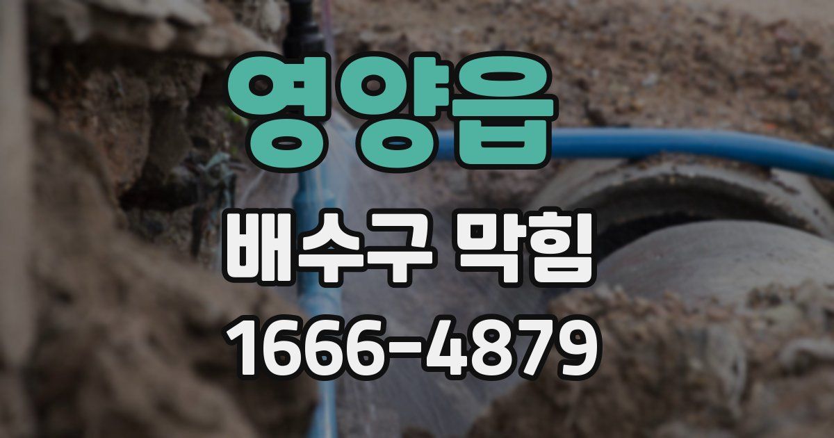 영양읍 배수구 막힘
