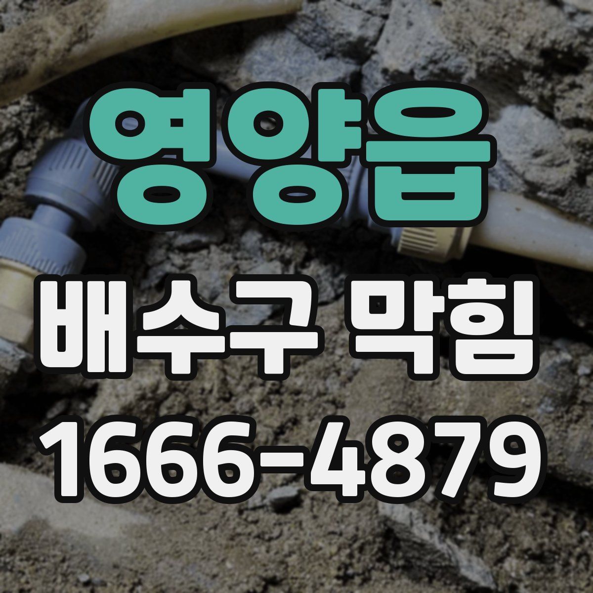 영양읍 배수구 막힘