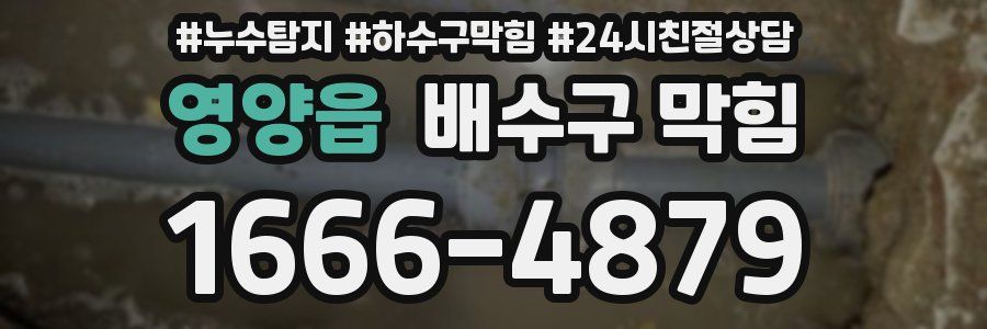 영양읍 배수구 막힘