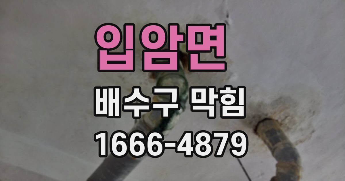 입암면 배수구 막힘