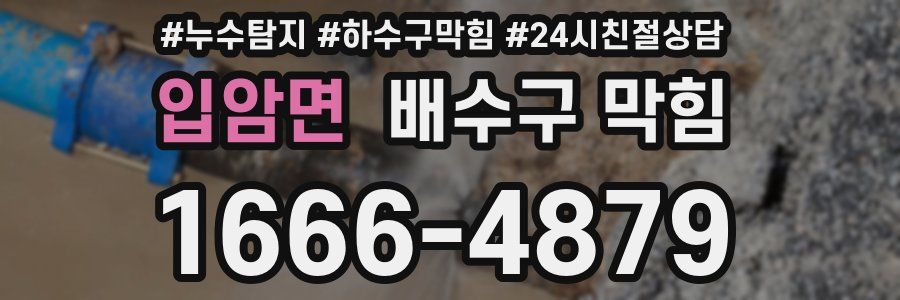 입암면 배수구 막힘