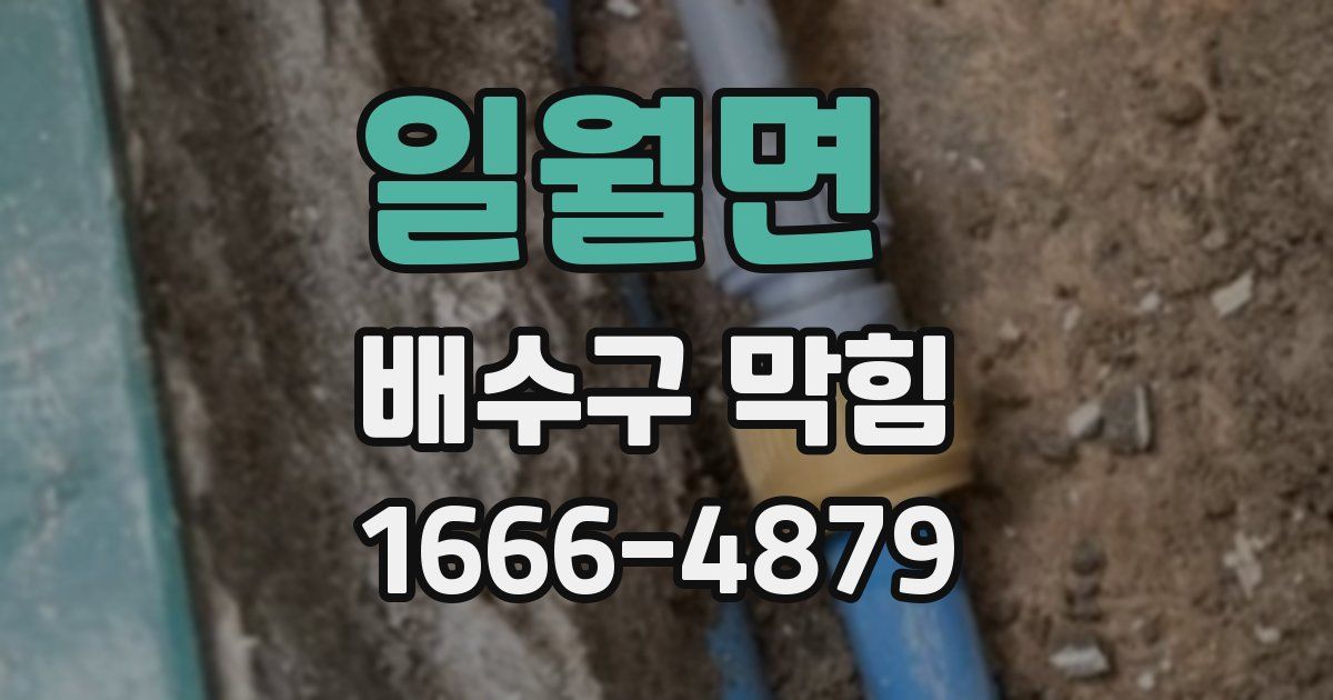 일월면 배수구 막힘