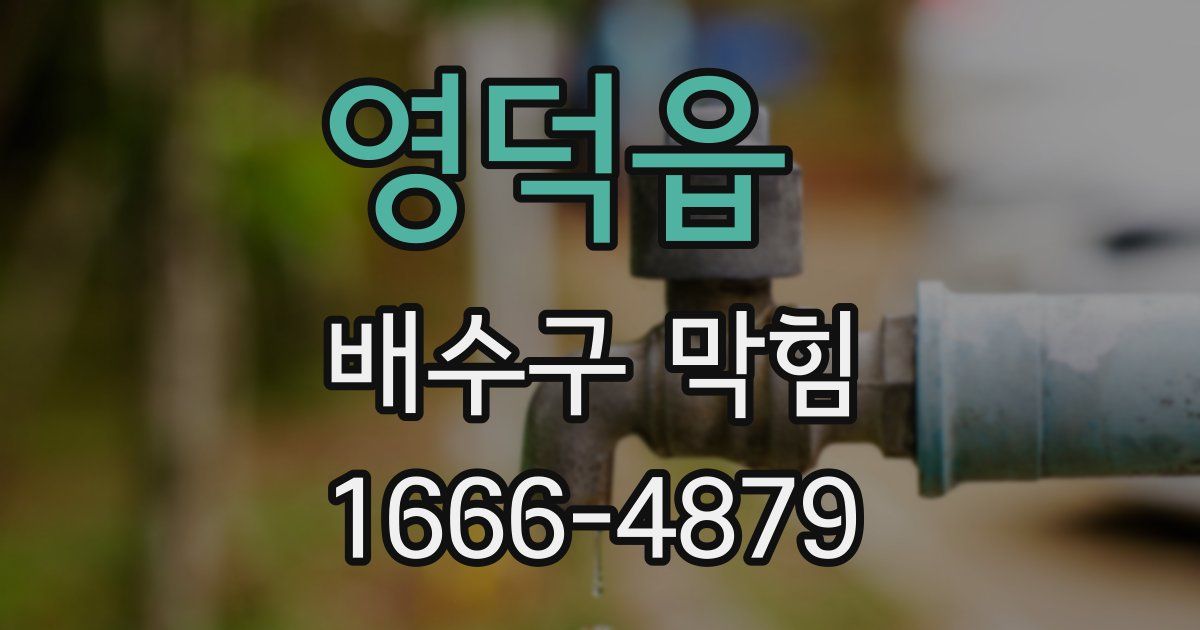 영덕읍 배수구 막힘