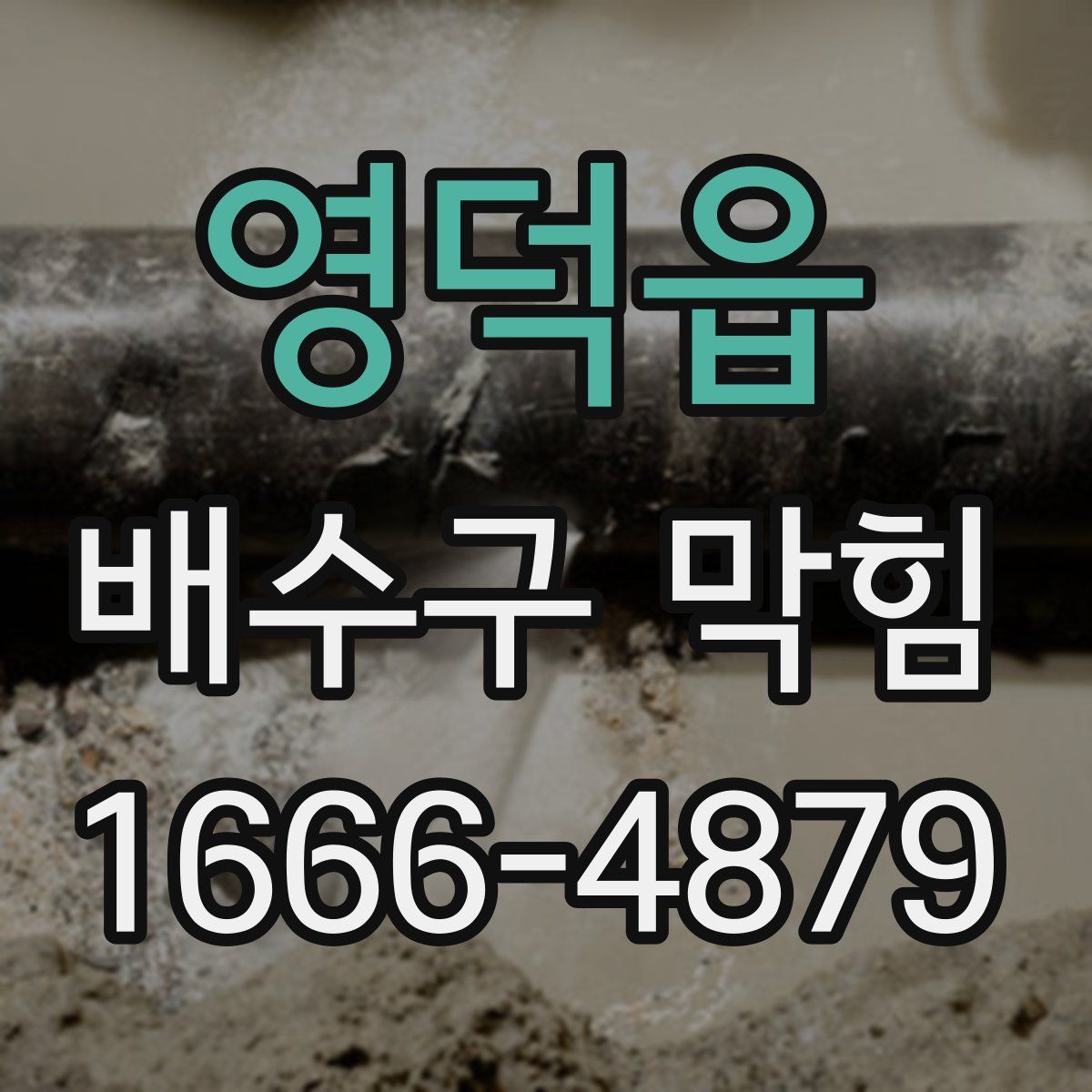 영덕읍 배수구 막힘