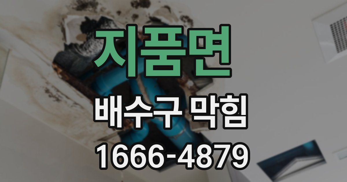 지품면 배수구 막힘