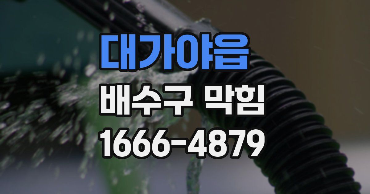 대가야읍 배수구 막힘