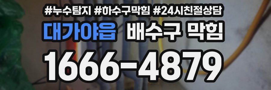 대가야읍 배수구 막힘