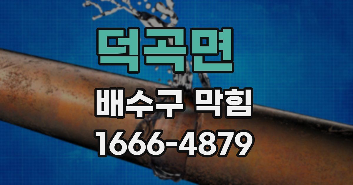 덕곡면 배수구 막힘