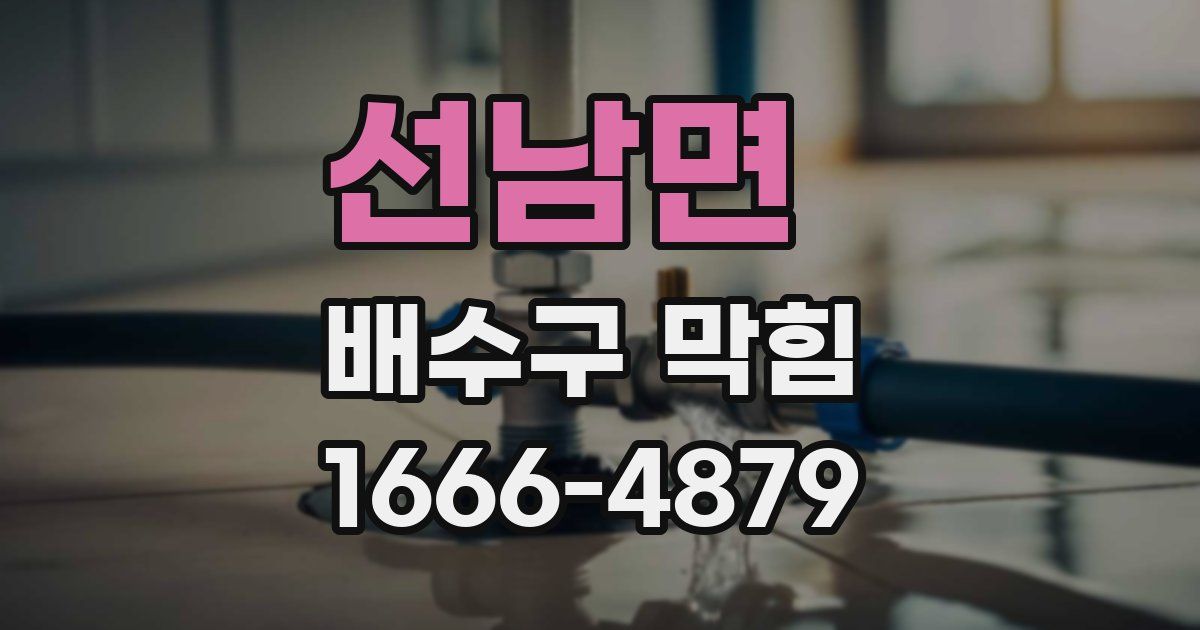 선남면 배수구 막힘