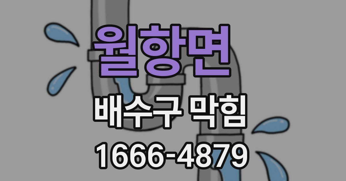 월항면 배수구 막힘