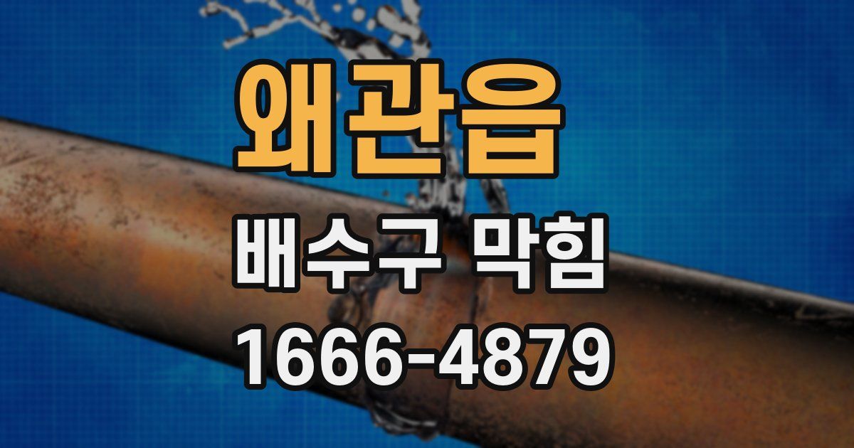 왜관읍 배수구 막힘