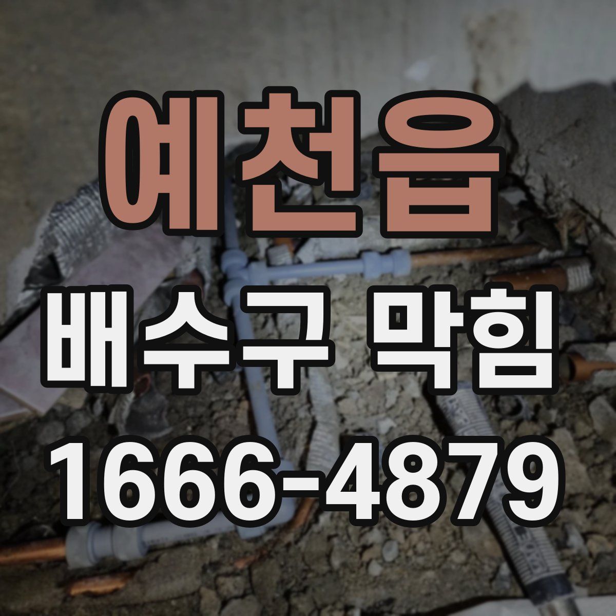 예천읍 배수구 막힘