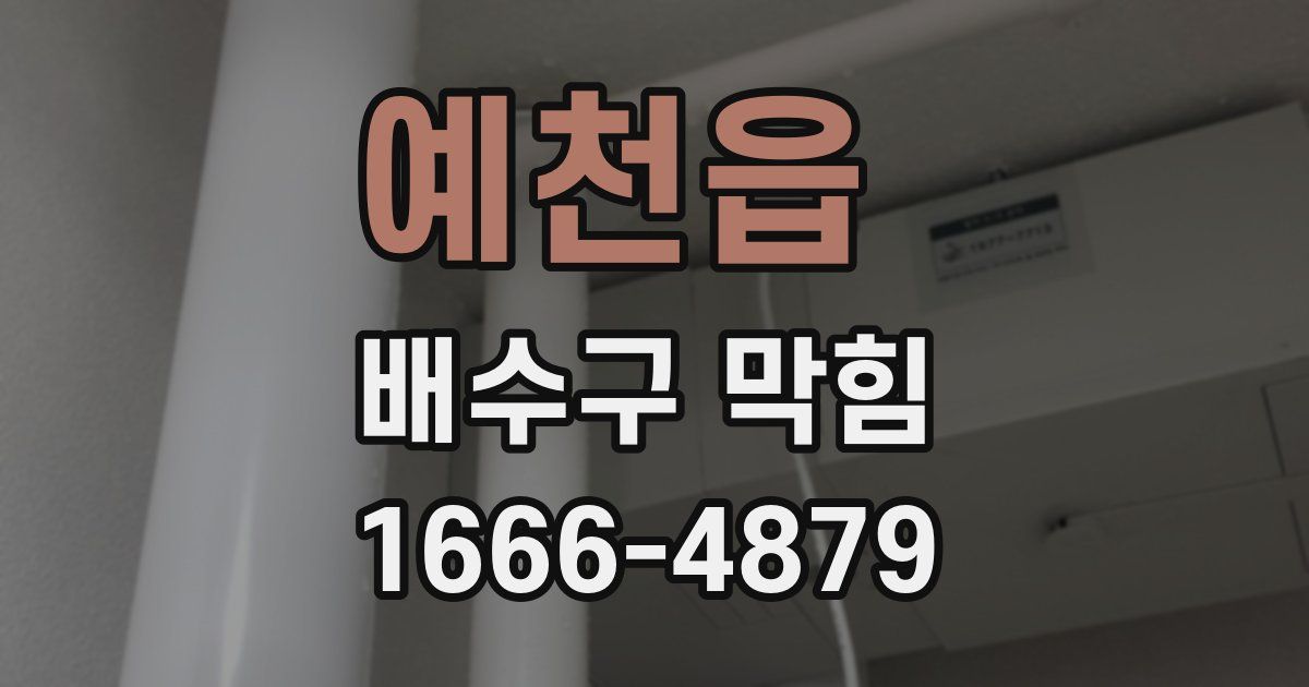 예천읍 배수구 막힘