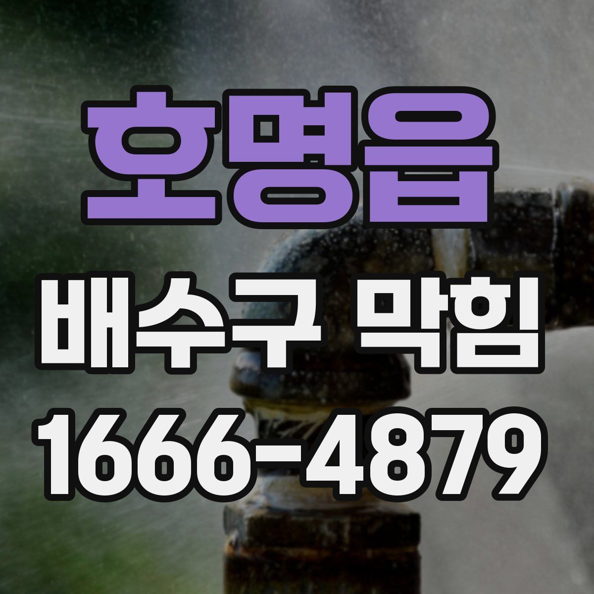 호명읍 배수구 막힘