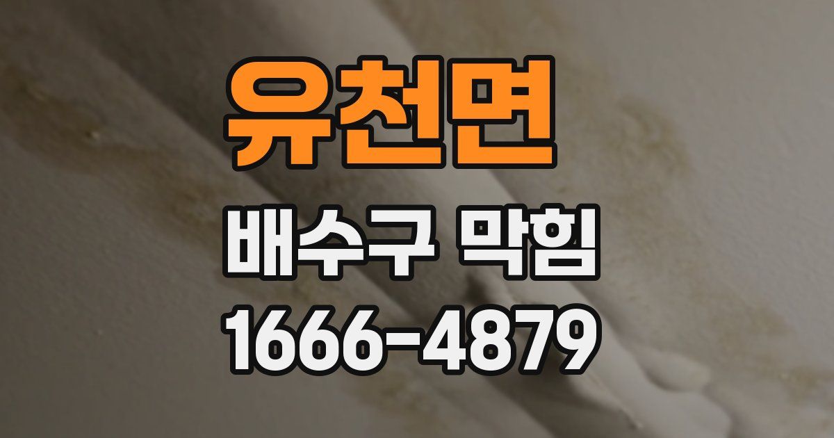유천면 배수구 막힘