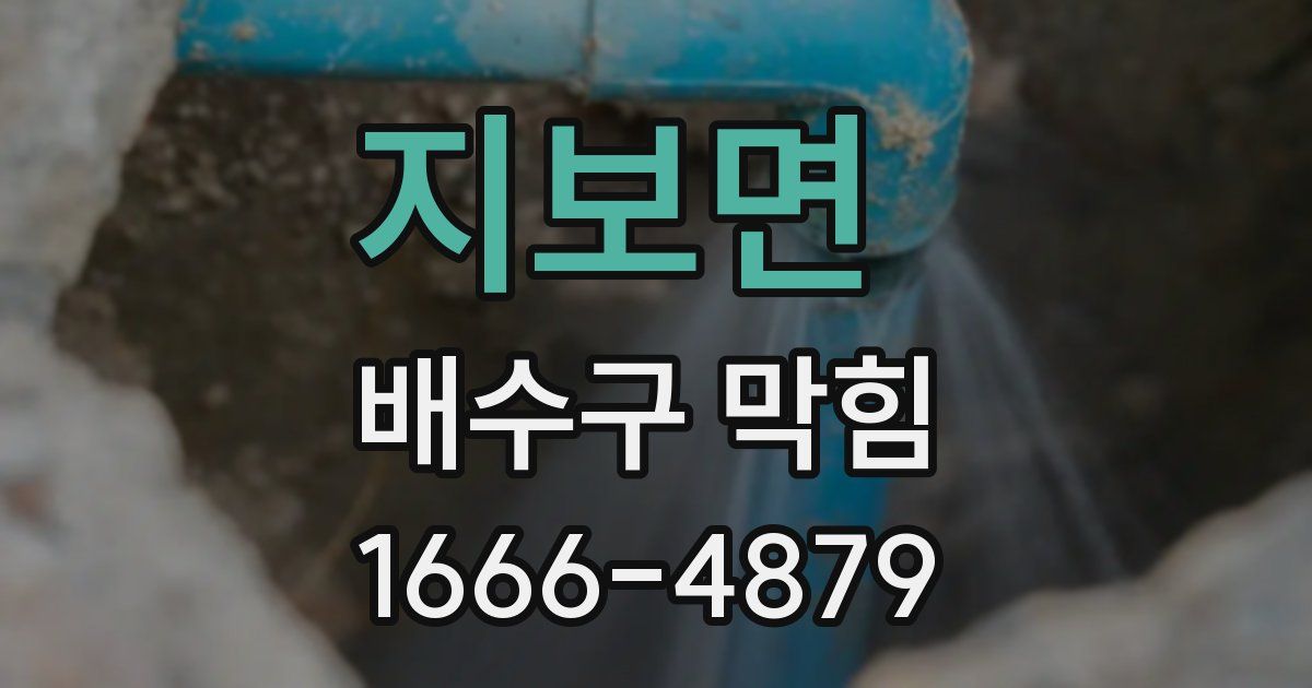 지보면 배수구 막힘