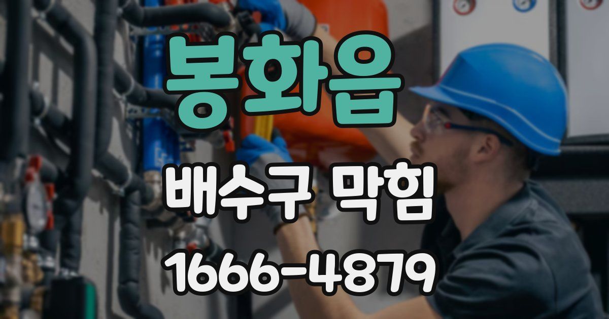 봉화읍 배수구 막힘