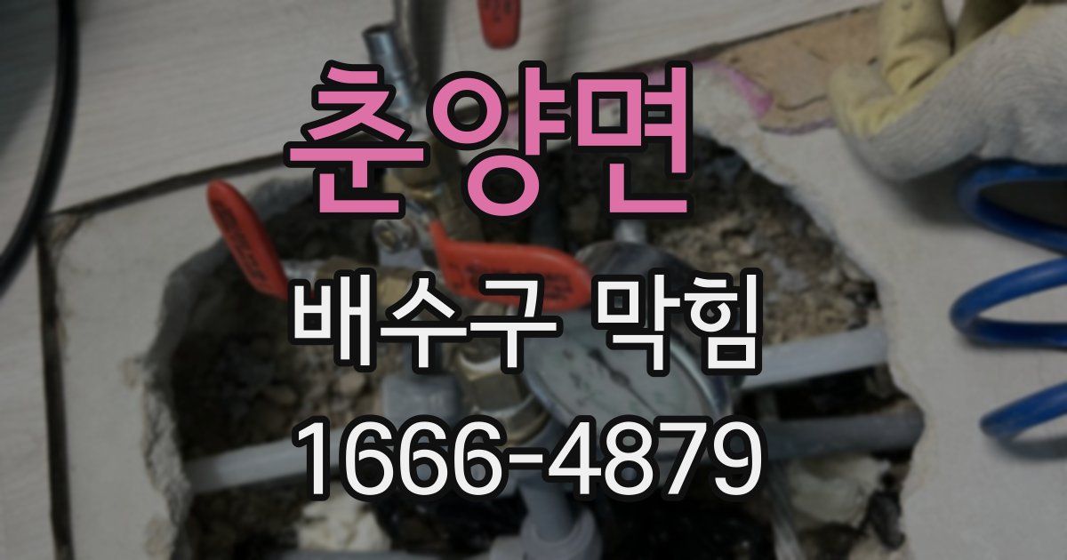 춘양면 배수구 막힘