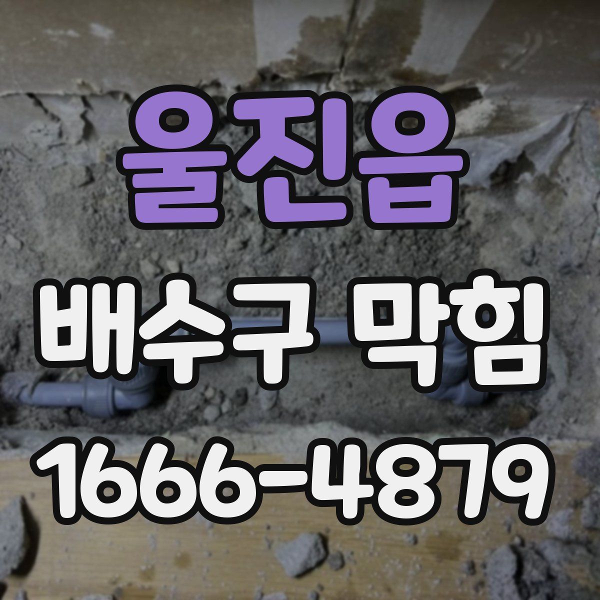 울진읍 배수구 막힘