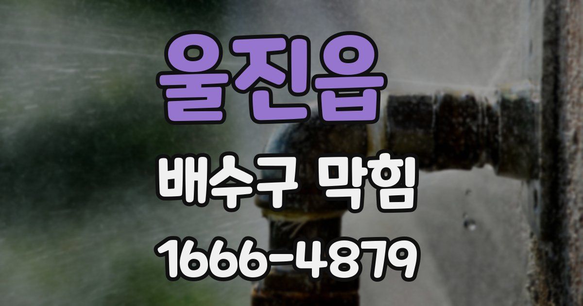 울진읍 배수구 막힘