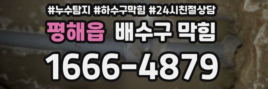 평해읍 배수구 막힘