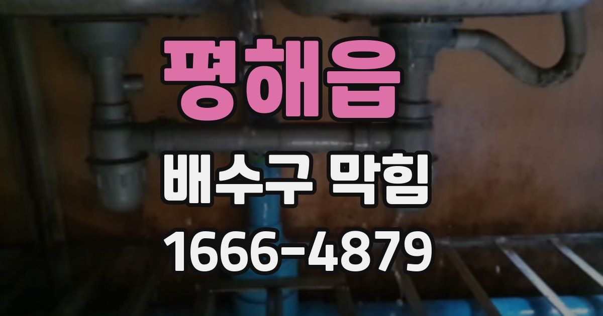 평해읍 배수구 막힘