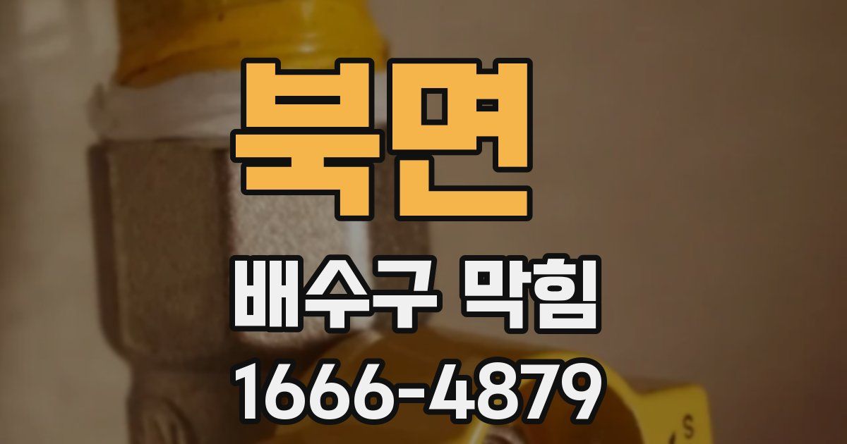 북면 배수구 막힘