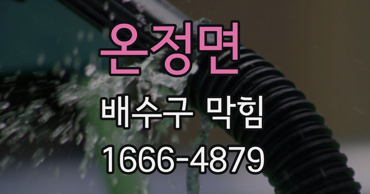 온정면 배수구 막힘
