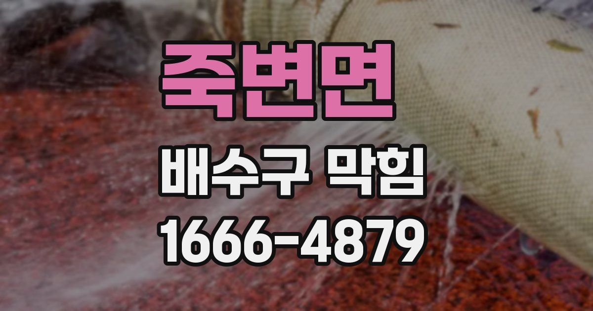 죽변면 배수구 막힘