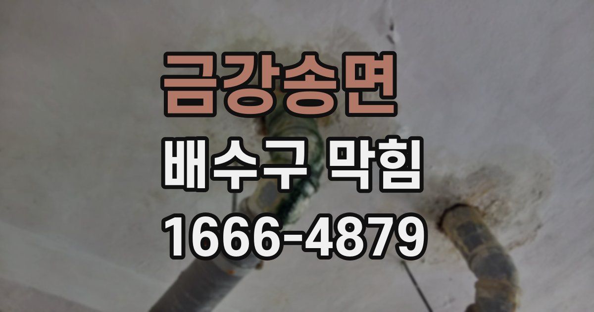 금강송면 배수구 막힘