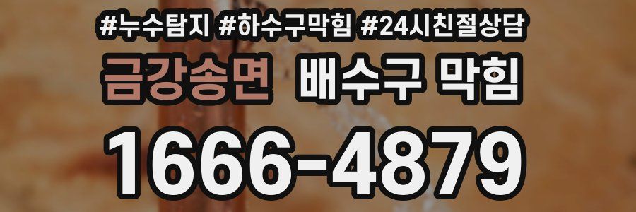 금강송면 배수구 막힘