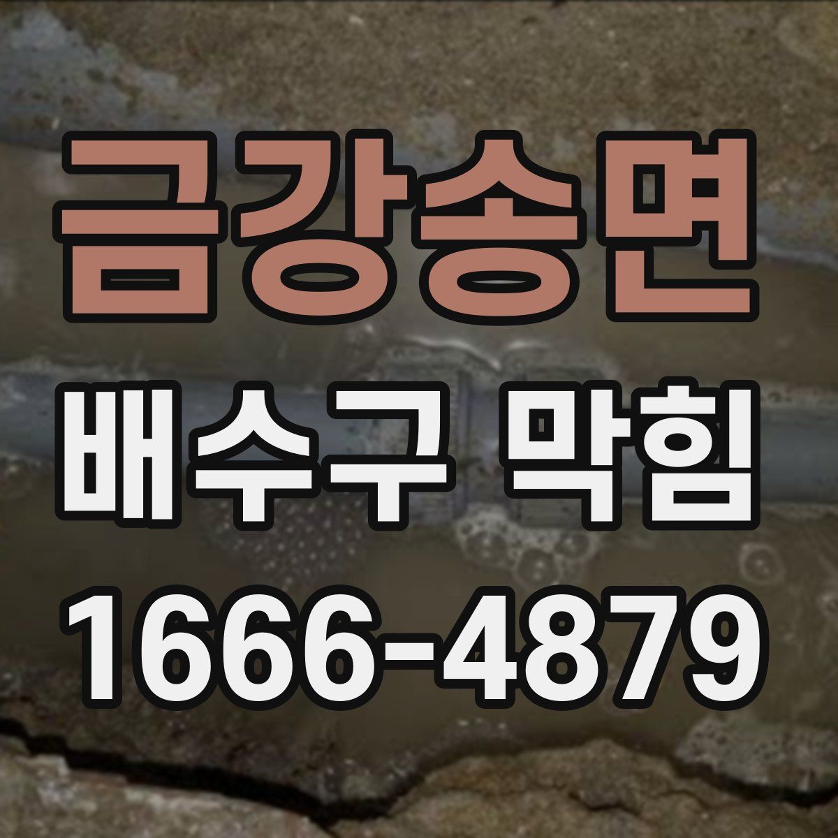 금강송면 배수구 막힘
