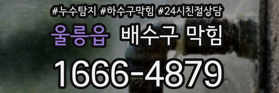 울릉읍 배수구 막힘