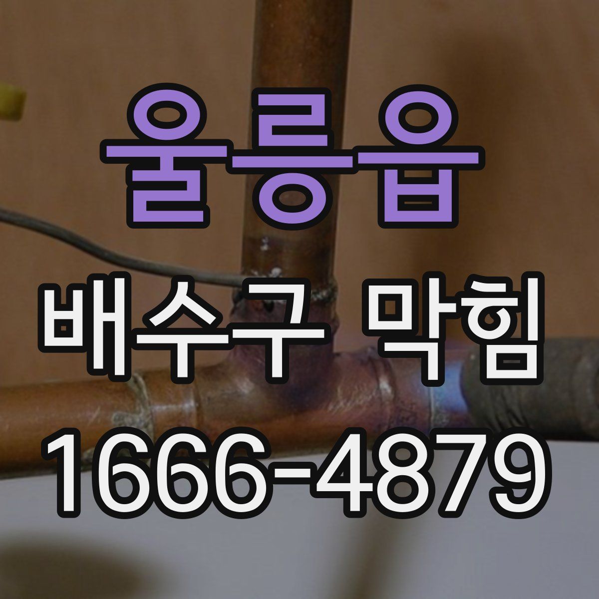 울릉읍 배수구 막힘