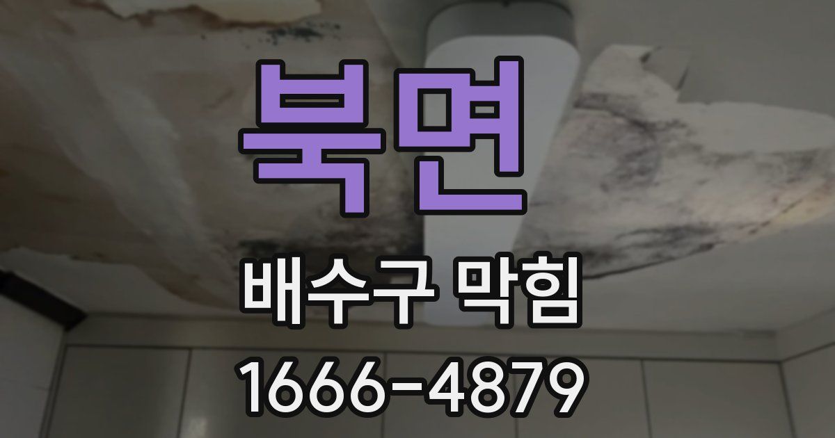 북면 배수구 막힘