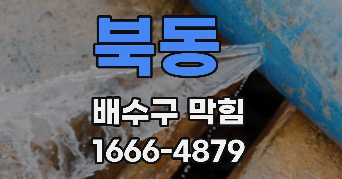 북동 배수구 막힘