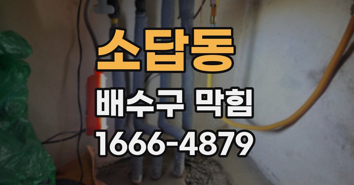 소답동 배수구 막힘