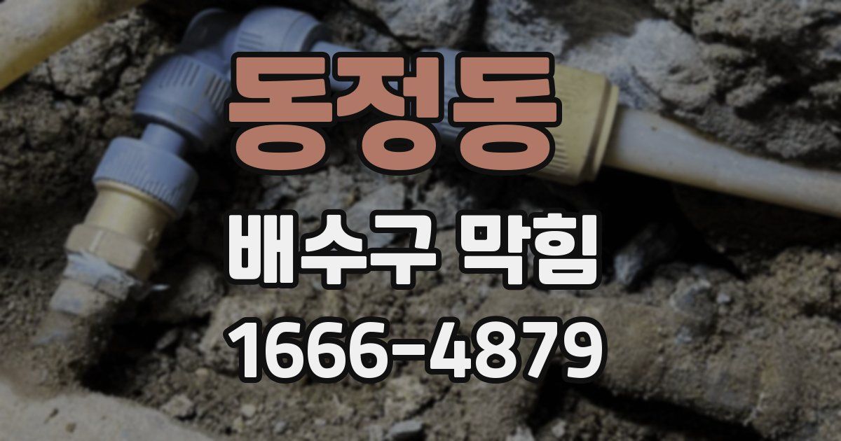 동정동 배수구 막힘