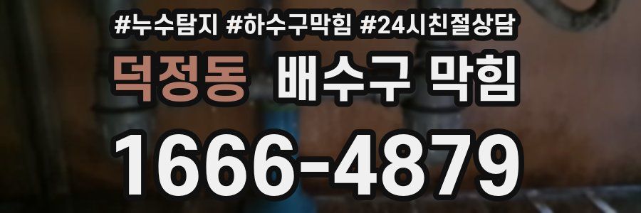 덕정동 배수구 막힘
