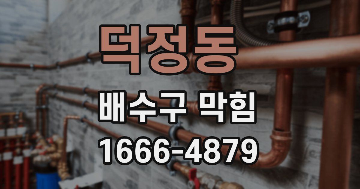덕정동 배수구 막힘