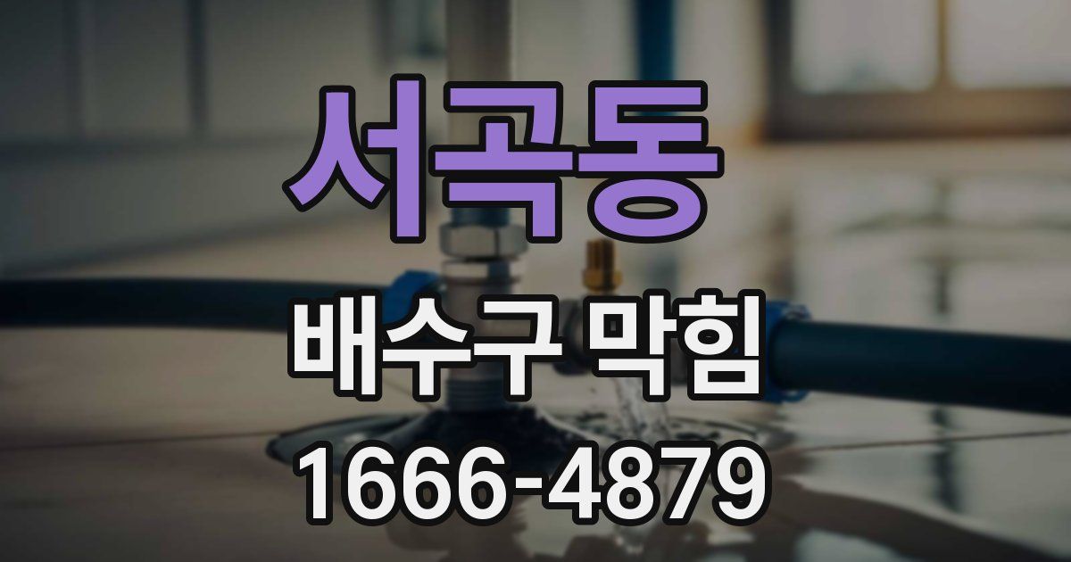 서곡동 배수구 막힘
