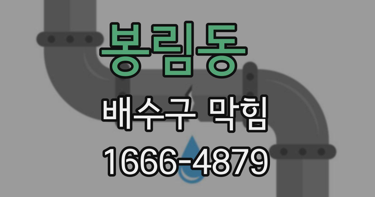 봉림동 배수구 막힘