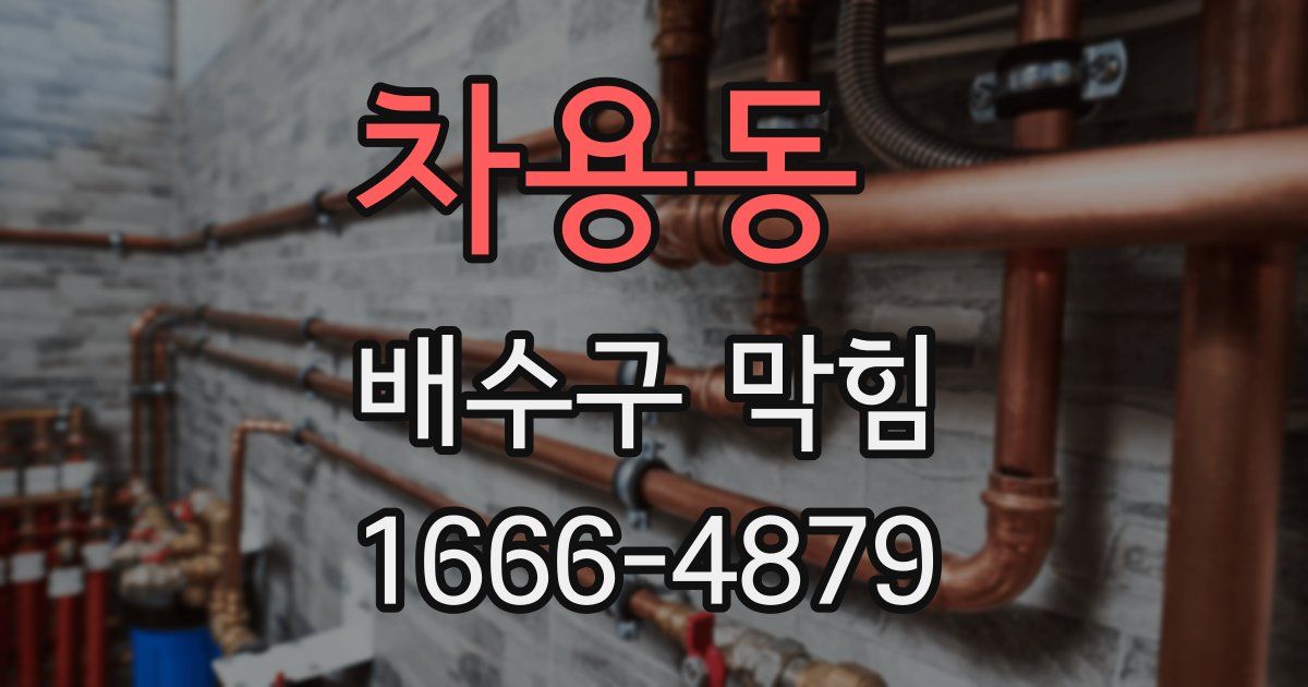 차용동 배수구 막힘