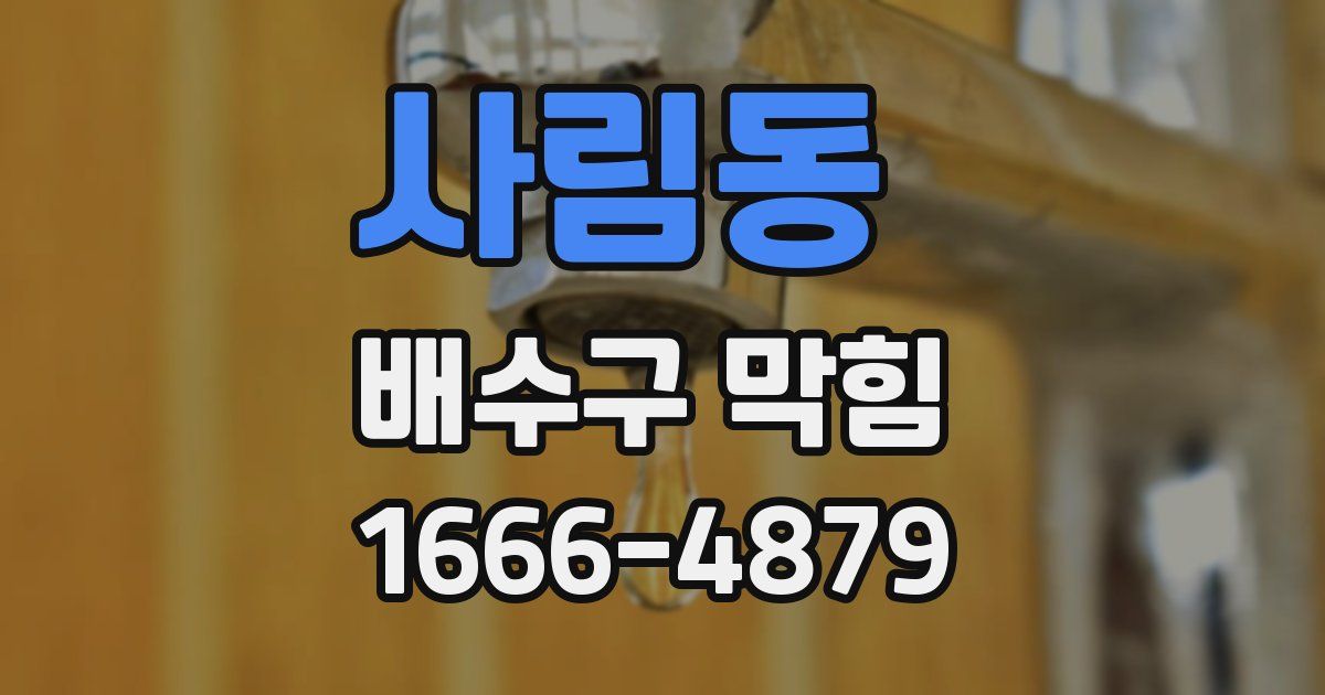 사림동 배수구 막힘