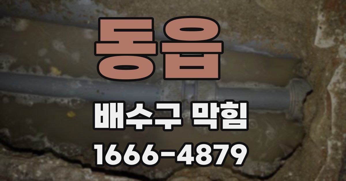 동읍 배수구 막힘