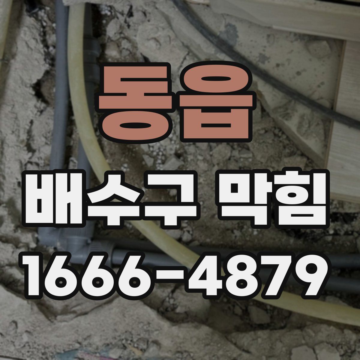 동읍 배수구 막힘