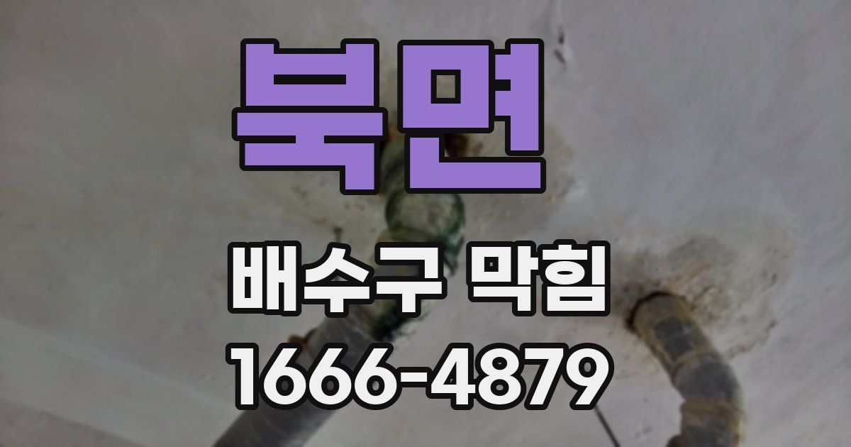 북면 배수구 막힘