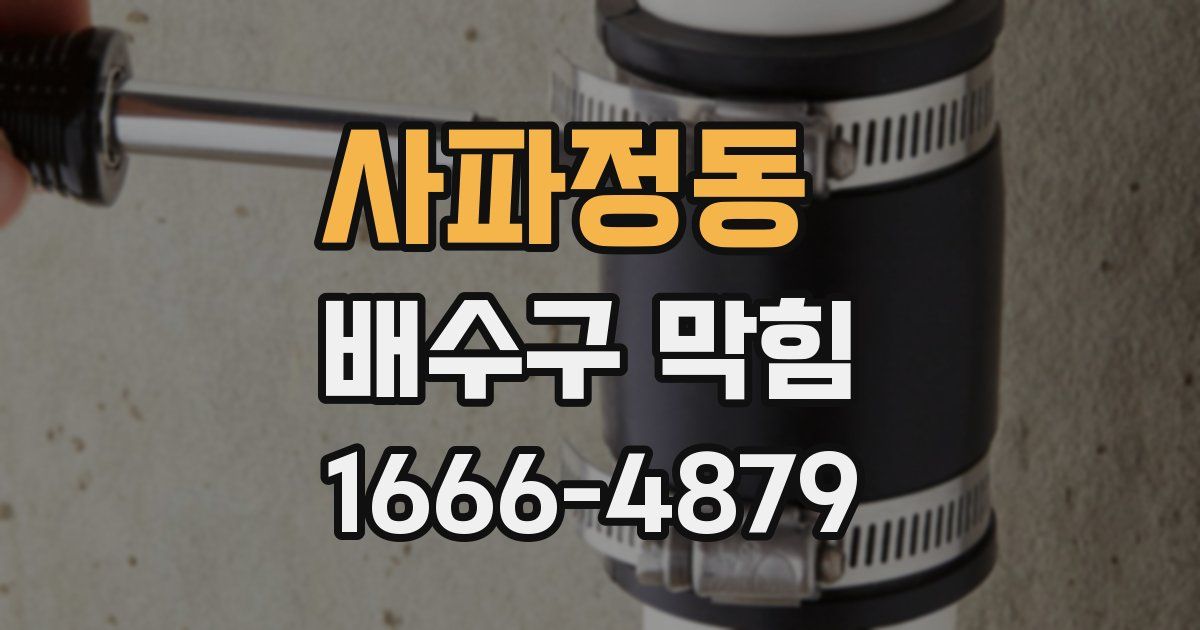 사파정동 배수구 막힘